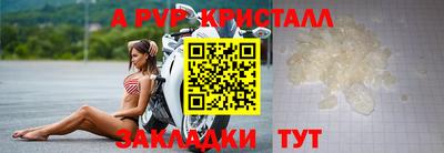 стафф Пенза
