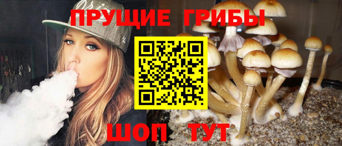 Серпухов  Галлюциногенные грибы Psilocybine cubensis  цена   Галлюциногенные грибы мухоморы  Вход с VPN 